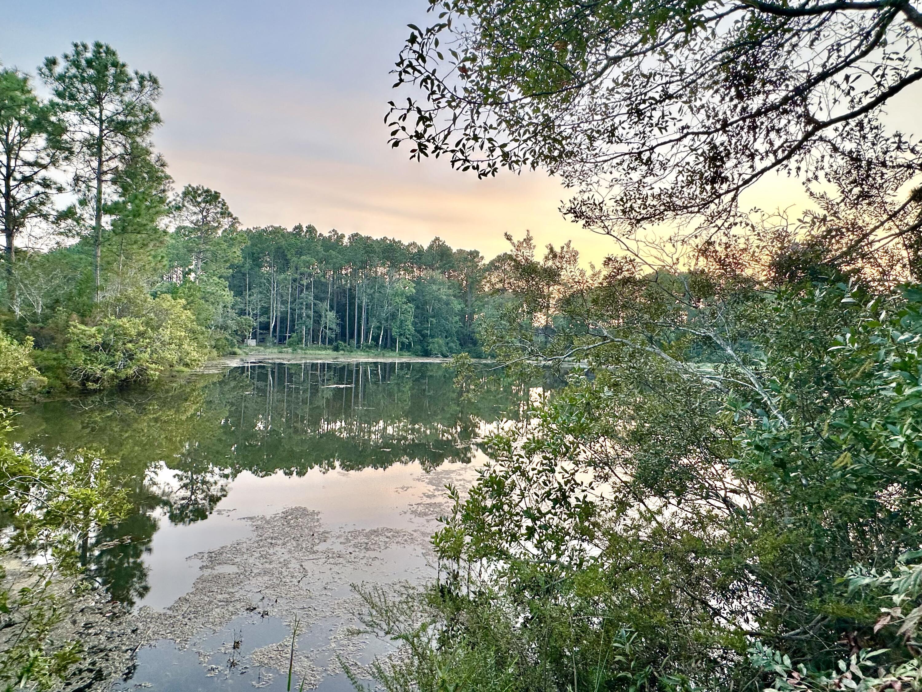 a view of lake