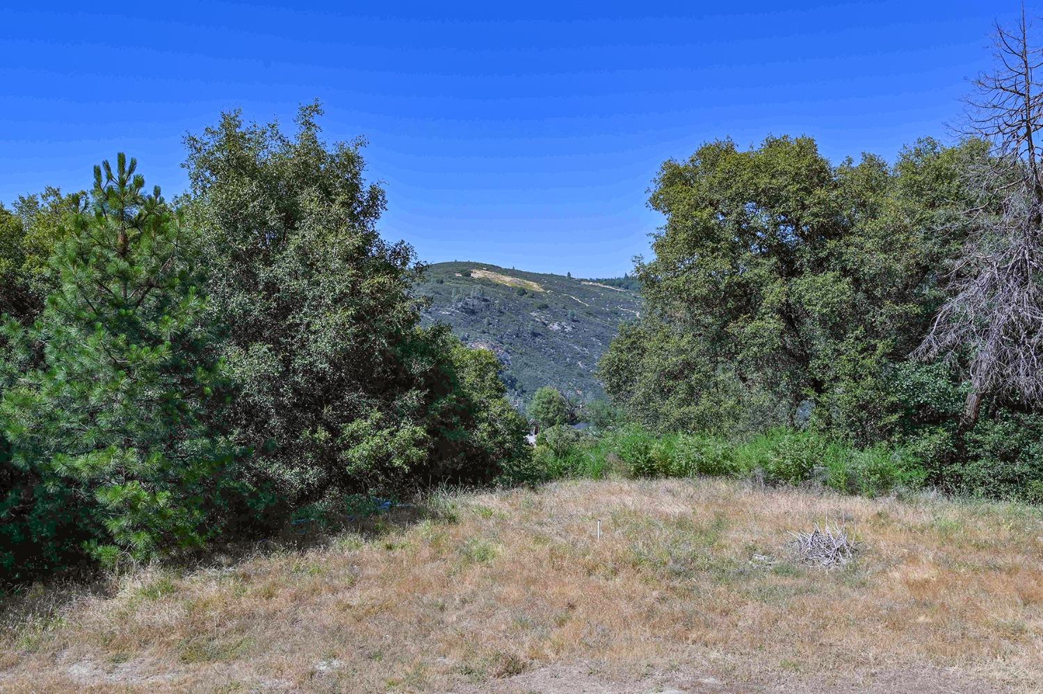 a view of a dry yard with trees in the background