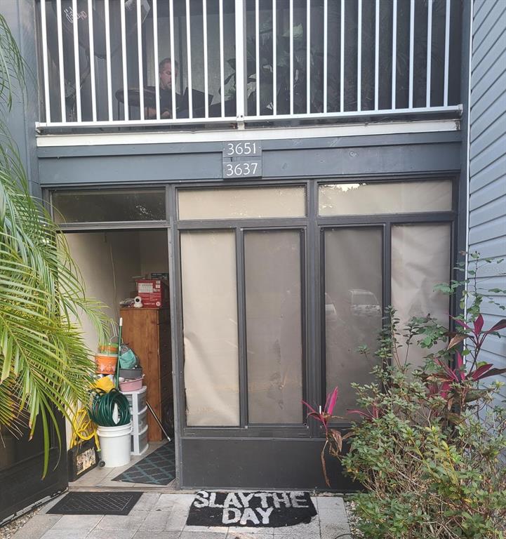 a view of a potted plant in front of a house