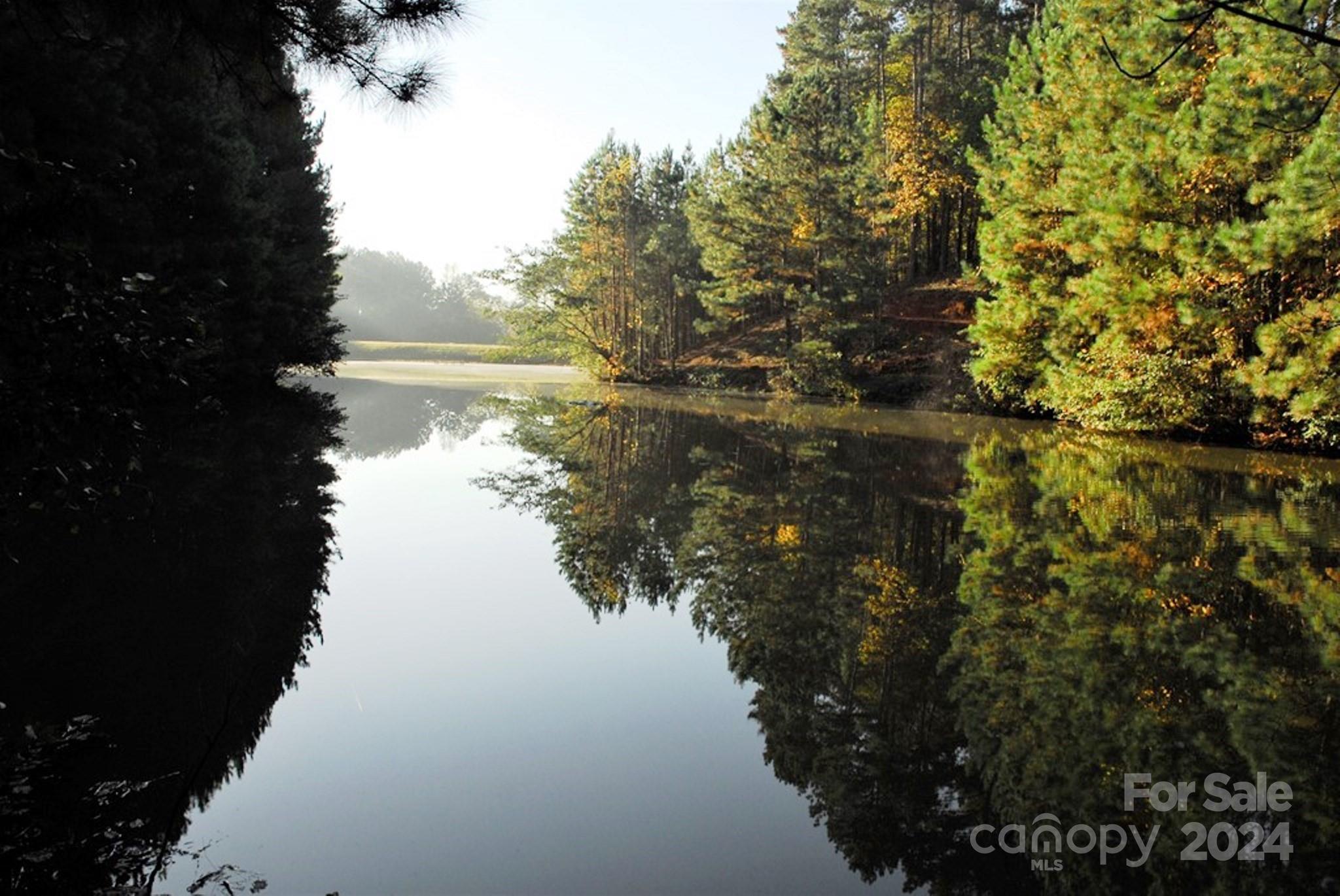 a view of lake