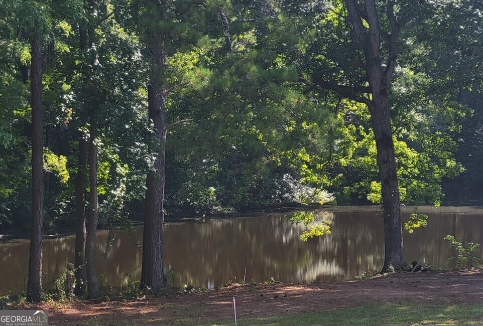 a lake view