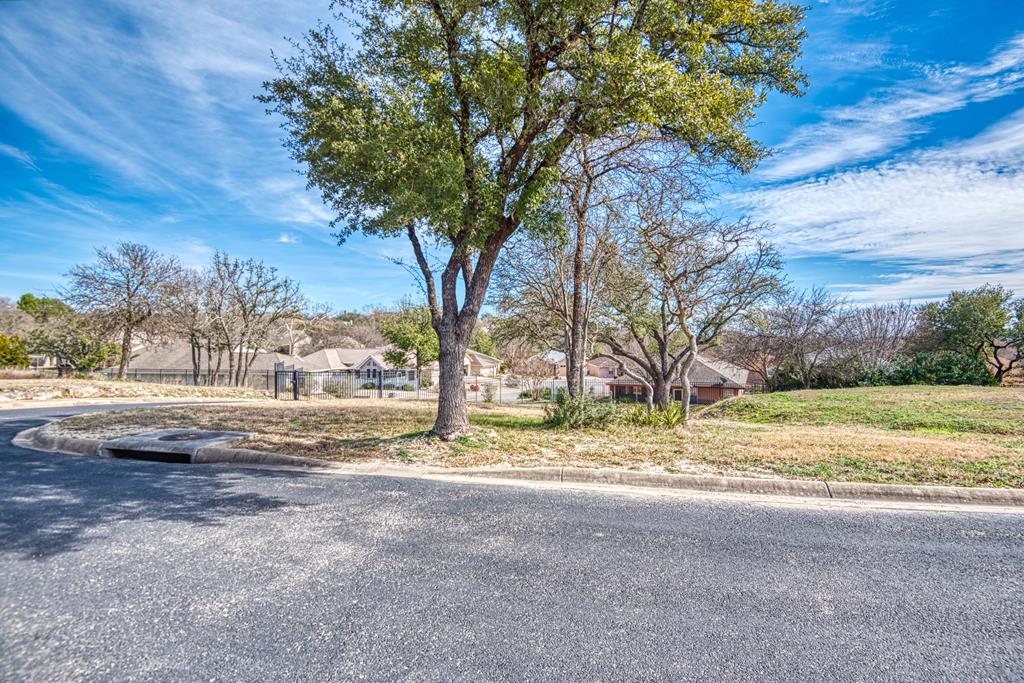 a view of dirt yard with a large tree