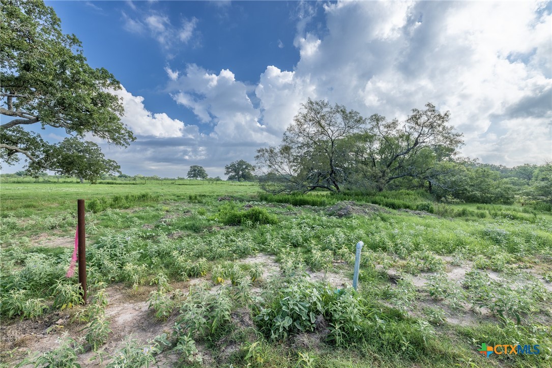 a view of a grassy field with trees in the background