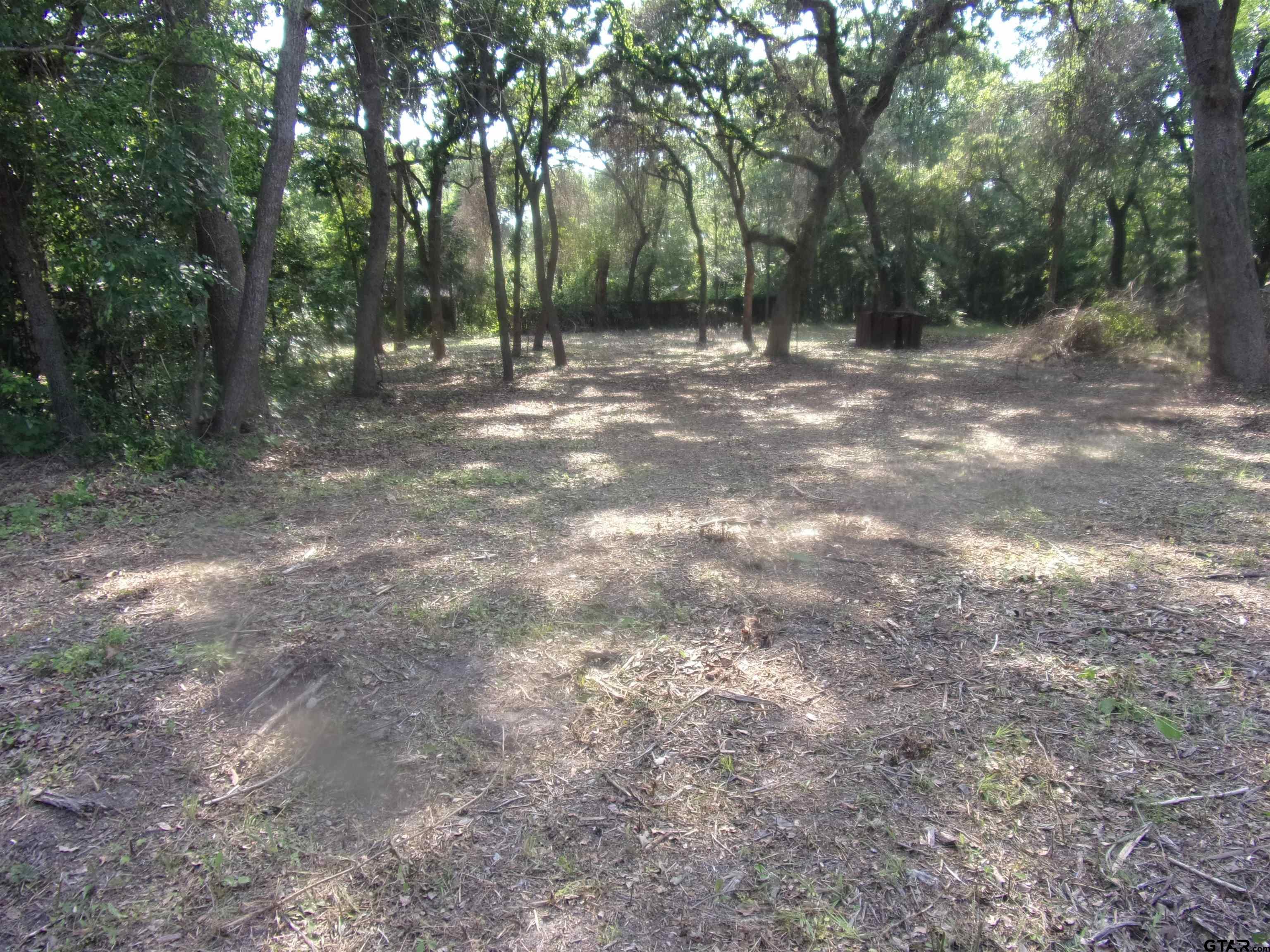 a view of outdoor space with trees all around