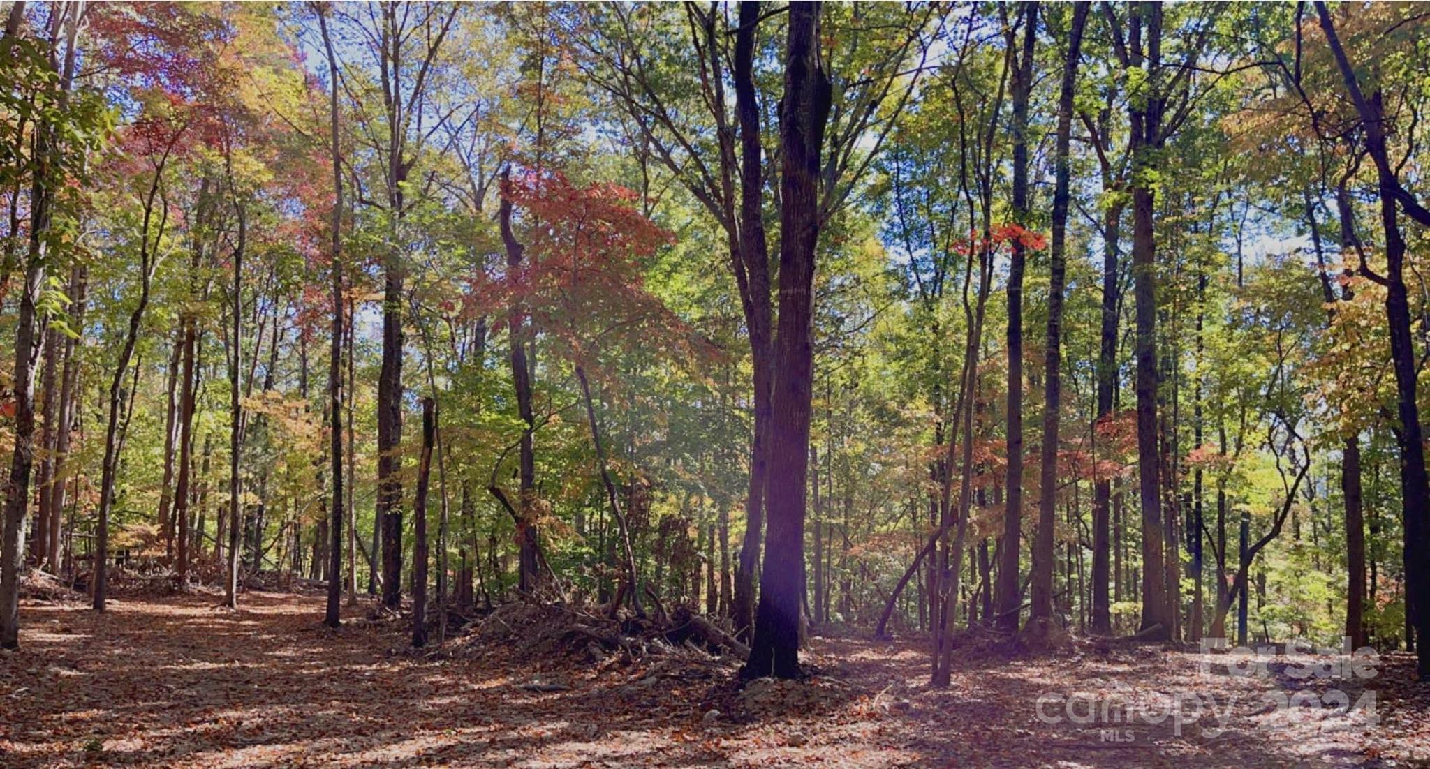 a view of outdoor space and trees