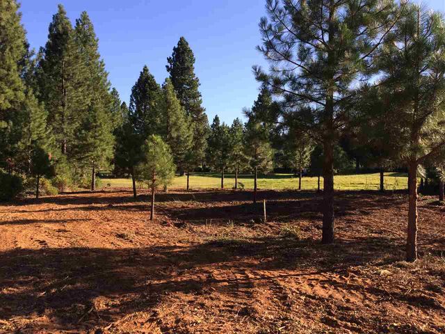 $49,000 | 239 Flint Way | Lake Almanor Peninsula