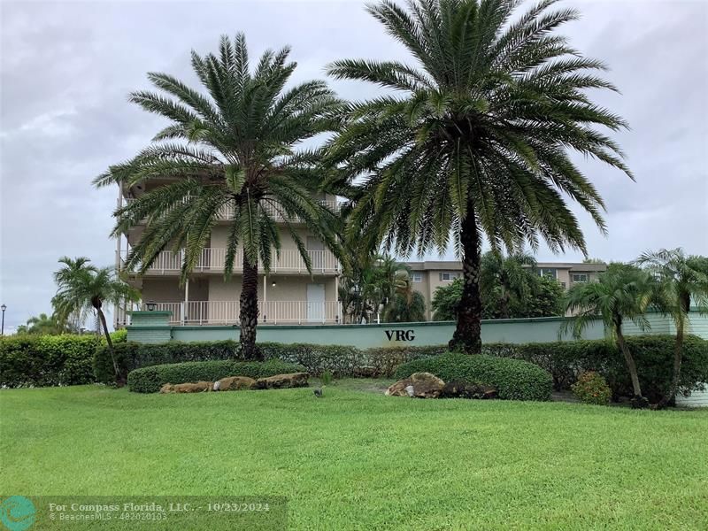 a view of a palm trees with a palm tree