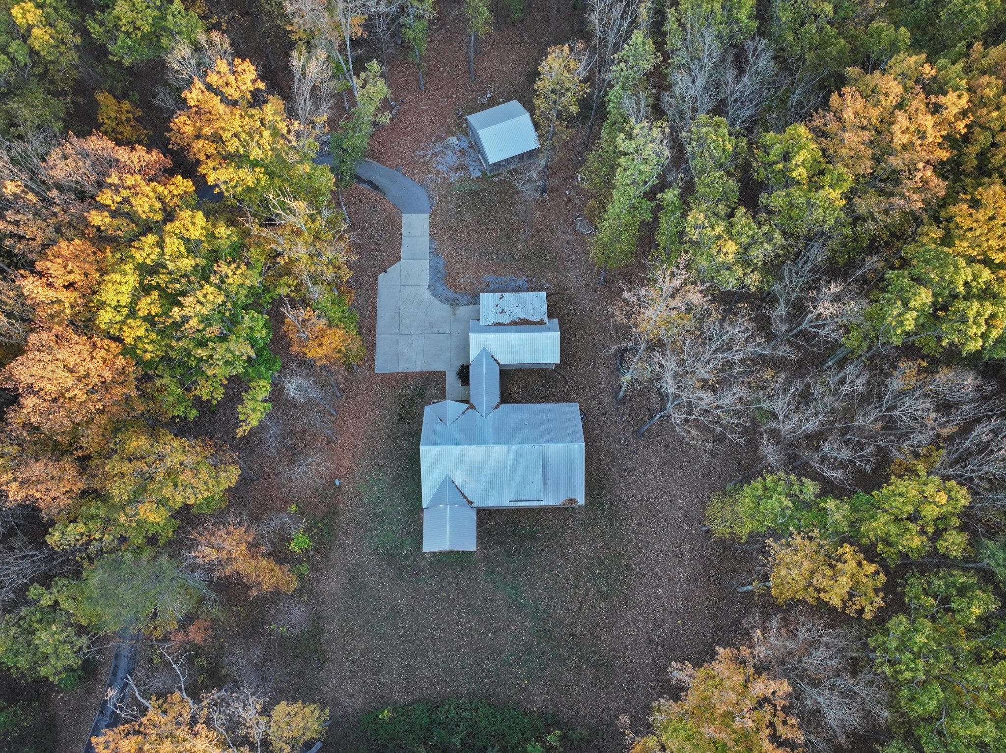 a view of a tree in a yard