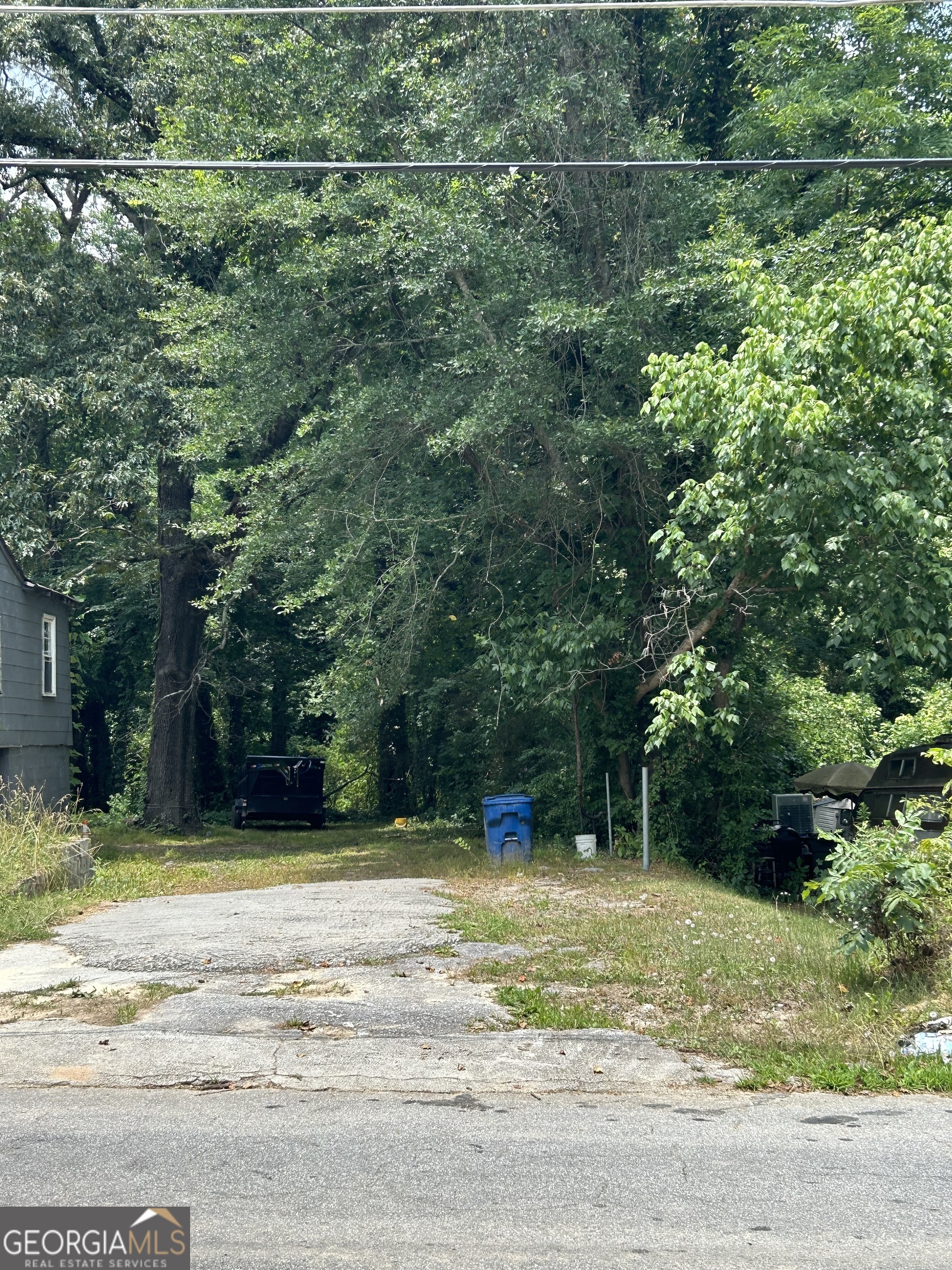 a view of a yard with plants and large trees