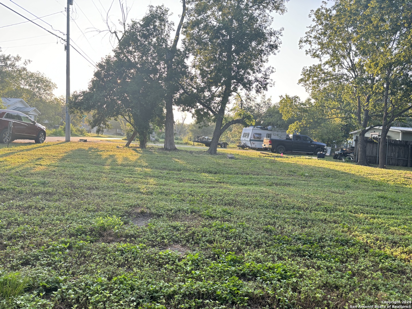 a view of a yard with a large trees