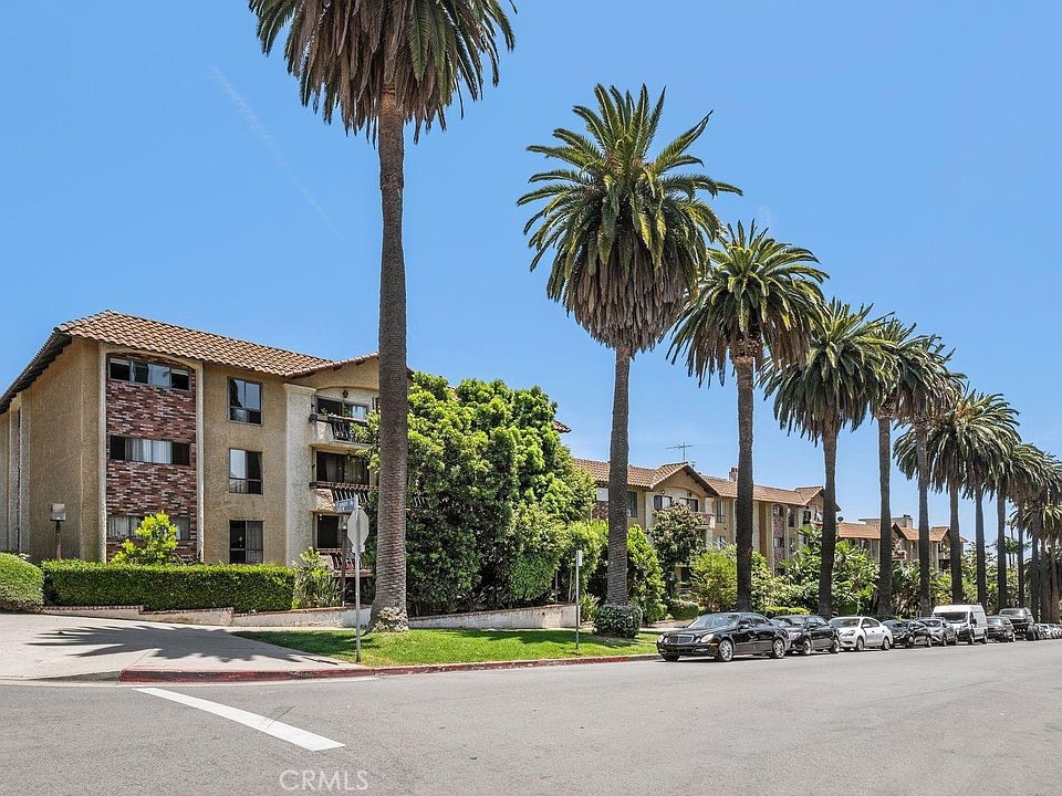 a view of a palm trees and a building in the background