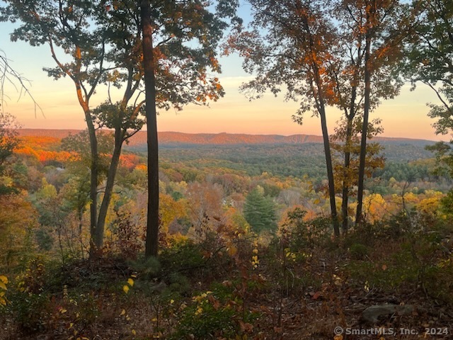 a view of mountain view with lots of trees