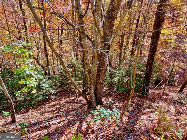 $40,000 | 13 Up The Ridge Road