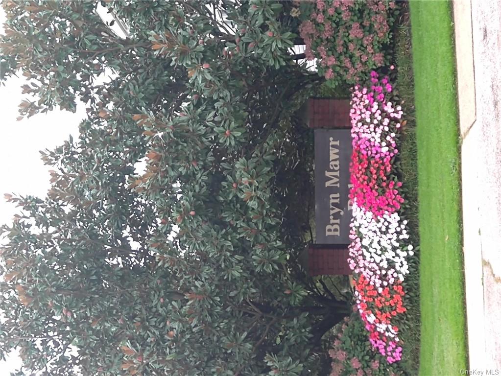 a view of a bunch of flowers