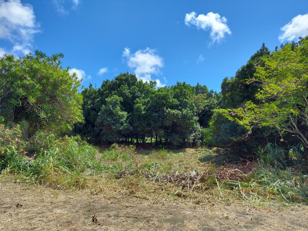 Idyllic flat lot in beautiful Naalehu.