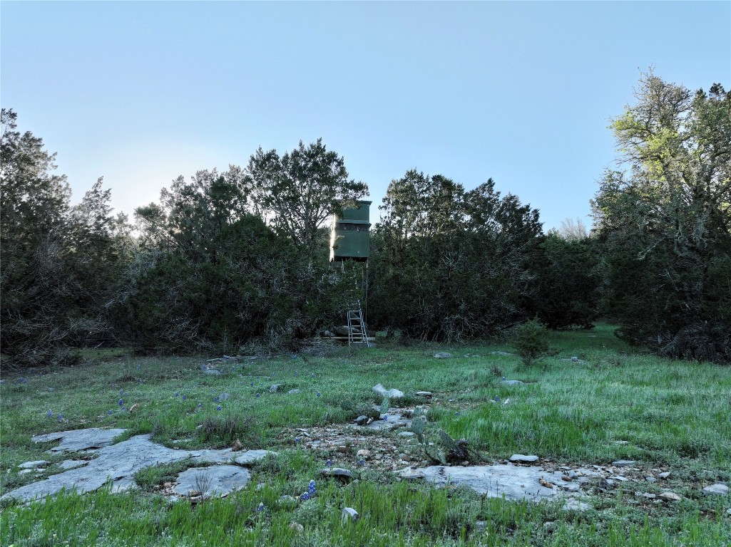 a view of a grassy field with trees in the background