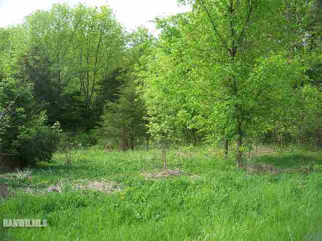 a view of a lush green space