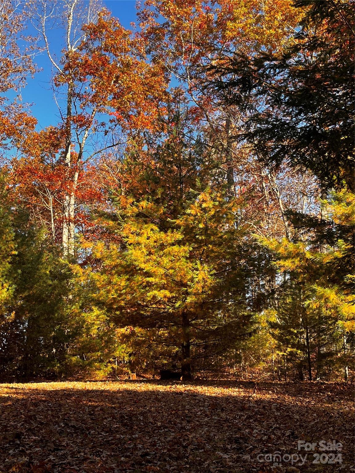 a view of outdoor space