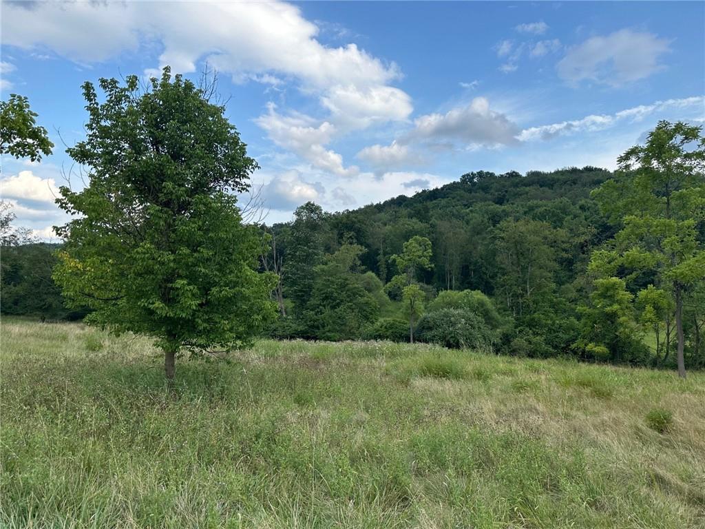 a view of a green field with lots of trees in the background