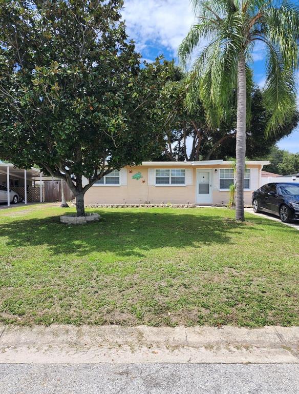 Front yard with Double Driveway