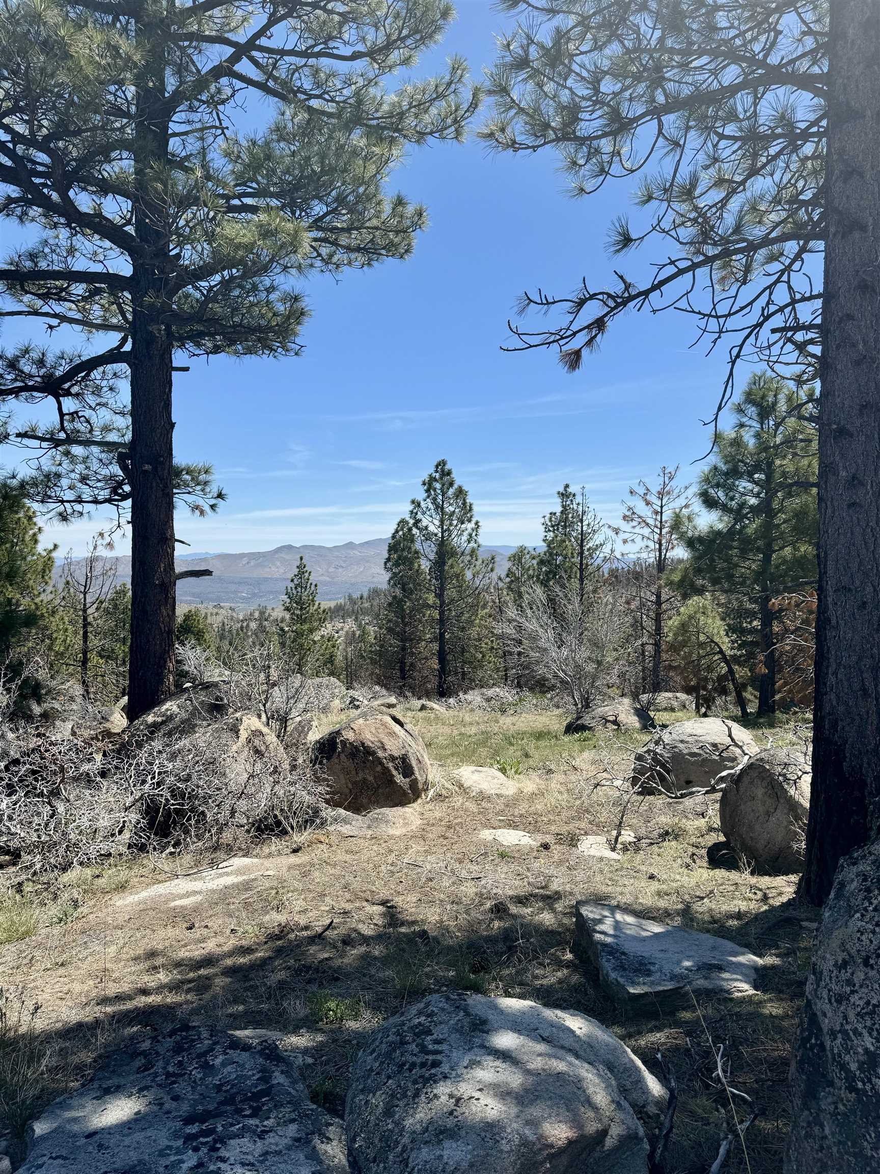 a view of a yard with mountain view