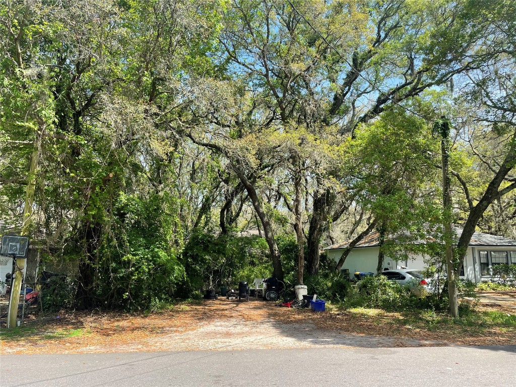 a view of road and trees