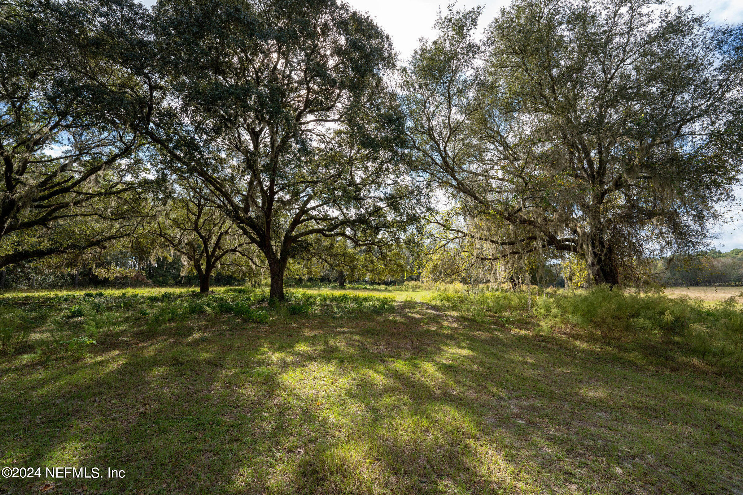 Land for sale in Florida