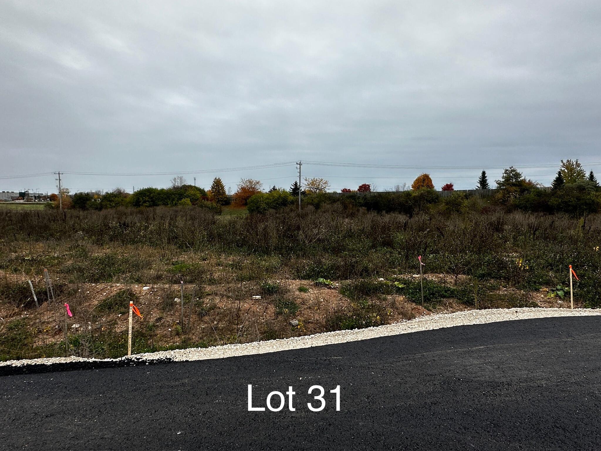 Lot 31