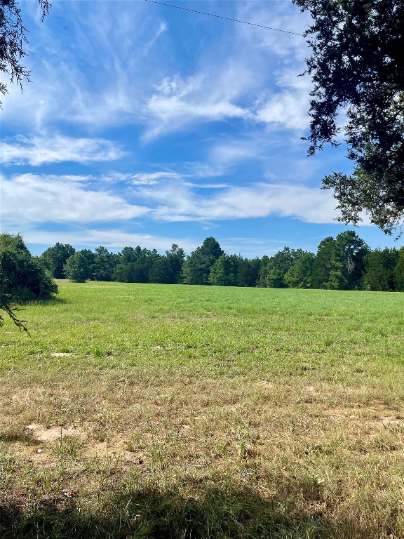 a view of a field with an ocean