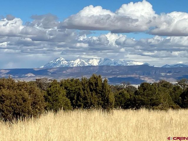 $249,900 | 15018 Transfer Road | Telluride Area