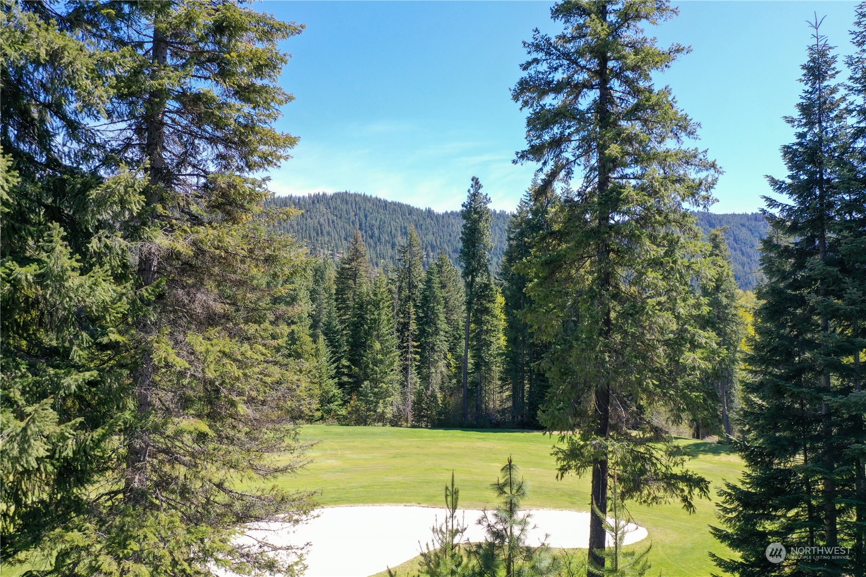 a view of a yard with a tree in the background