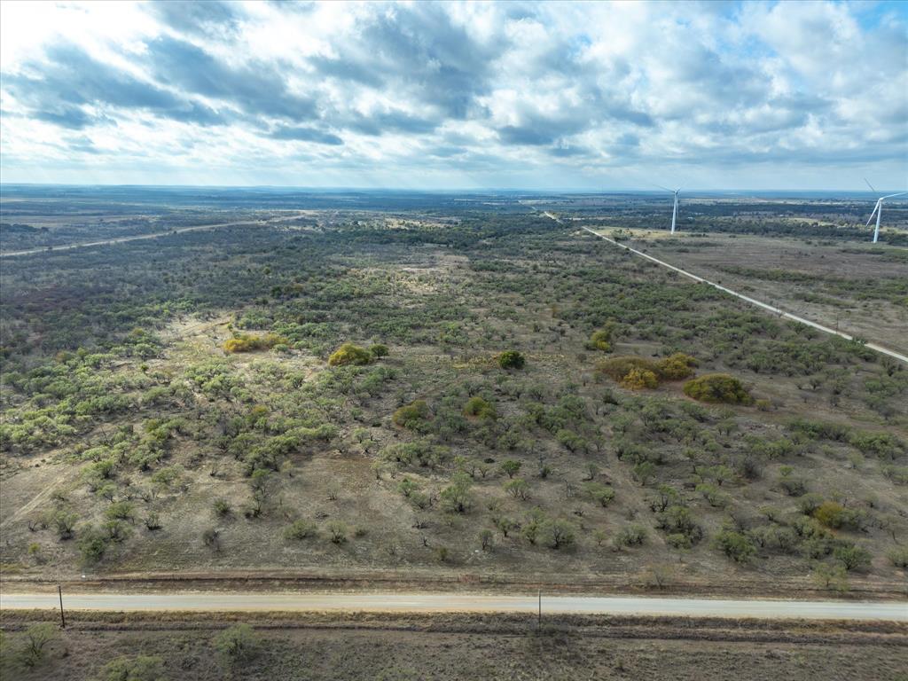 a view of a dry yard