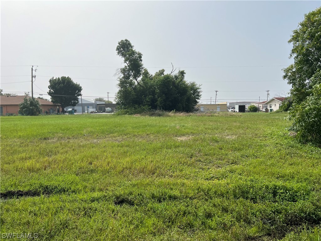 a view of a field of grass and trees