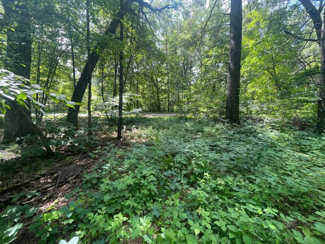 $14,000 | Tbd Gumwood Lane | Scandia Valley Township - Morrison County