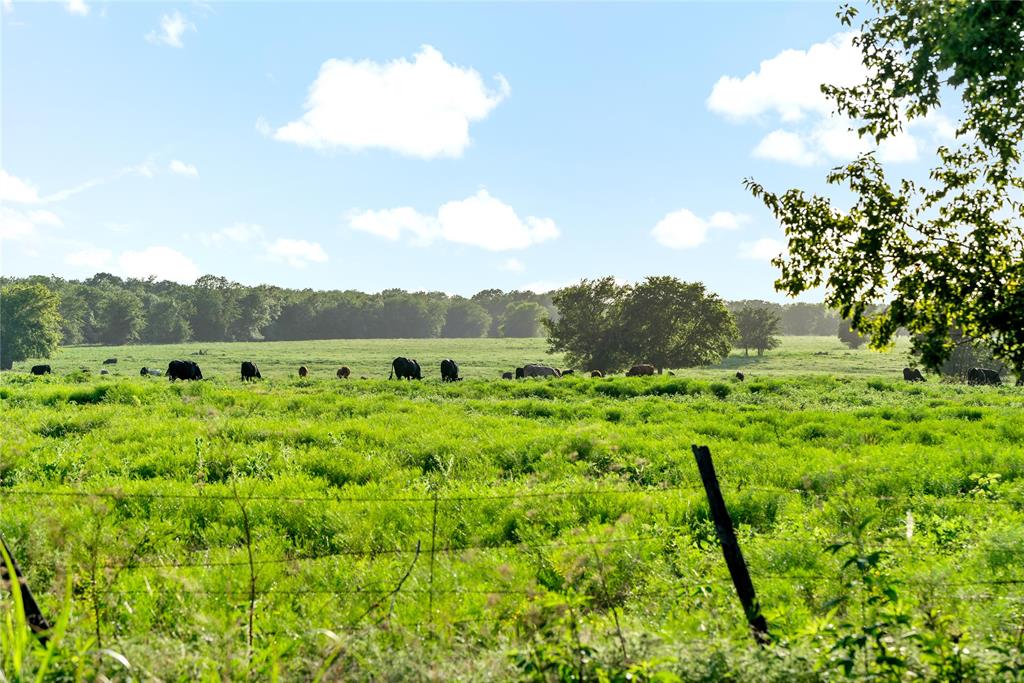 a view of a lush green field