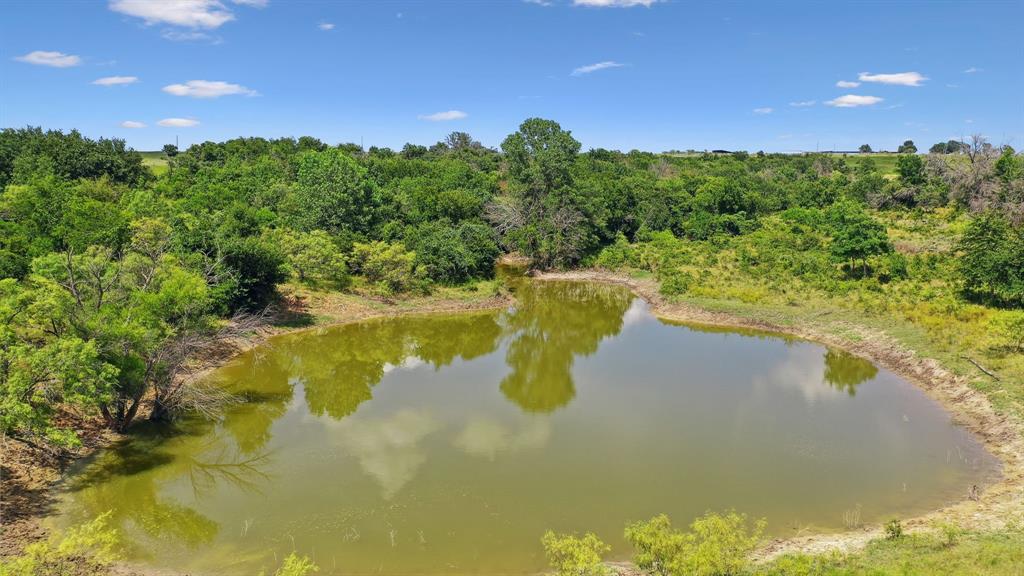 a view of a lake from a yard