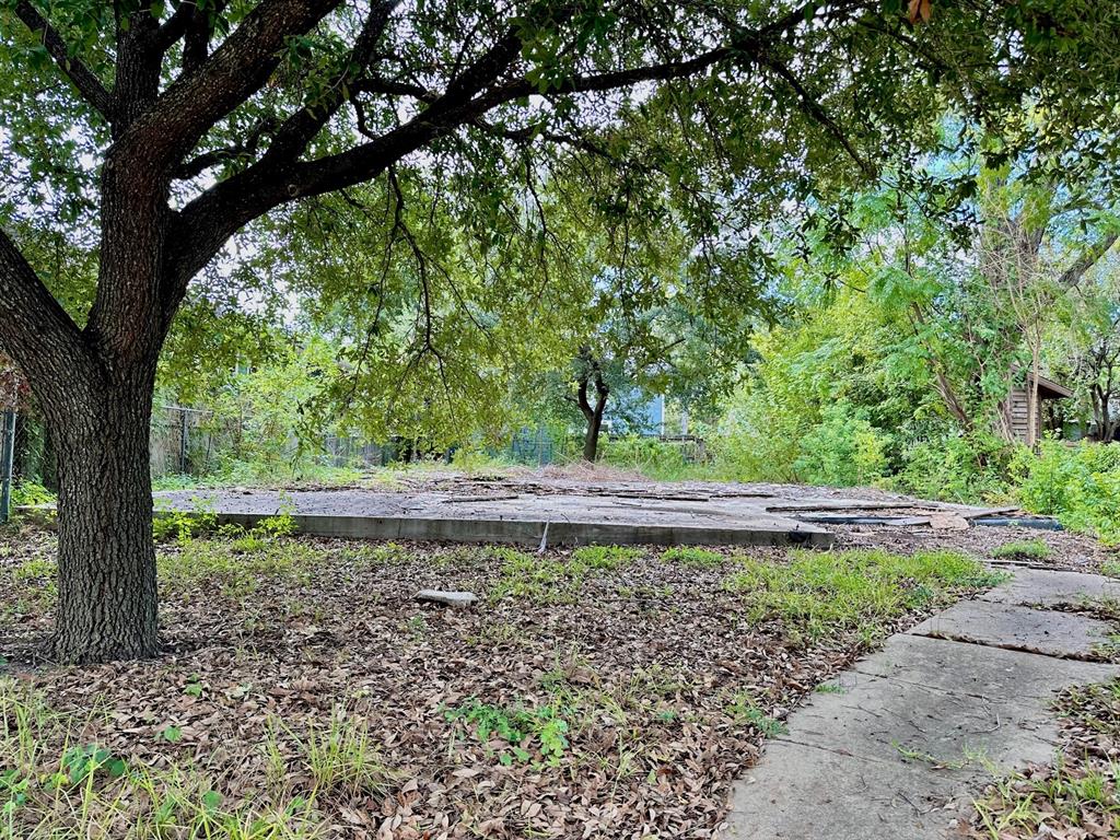 a view of a backyard with large trees