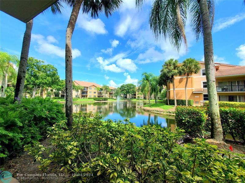 a view of a lake view with a garden