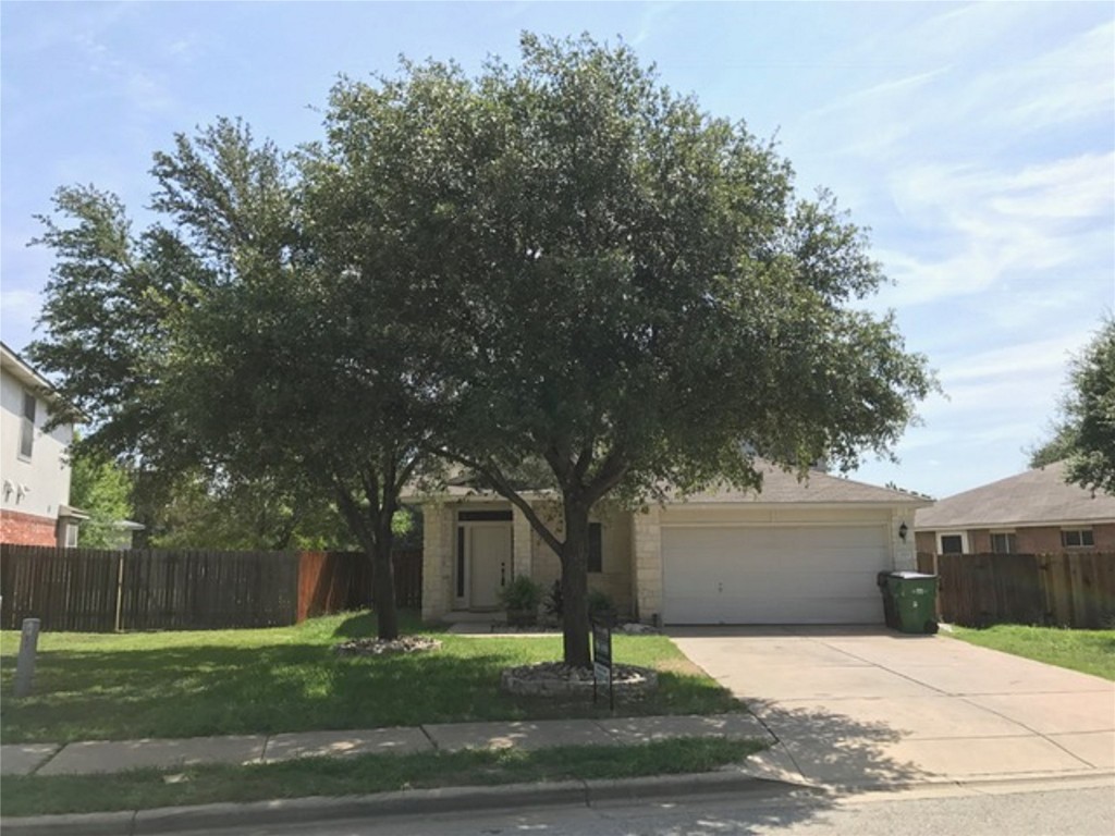 a street view with large trees