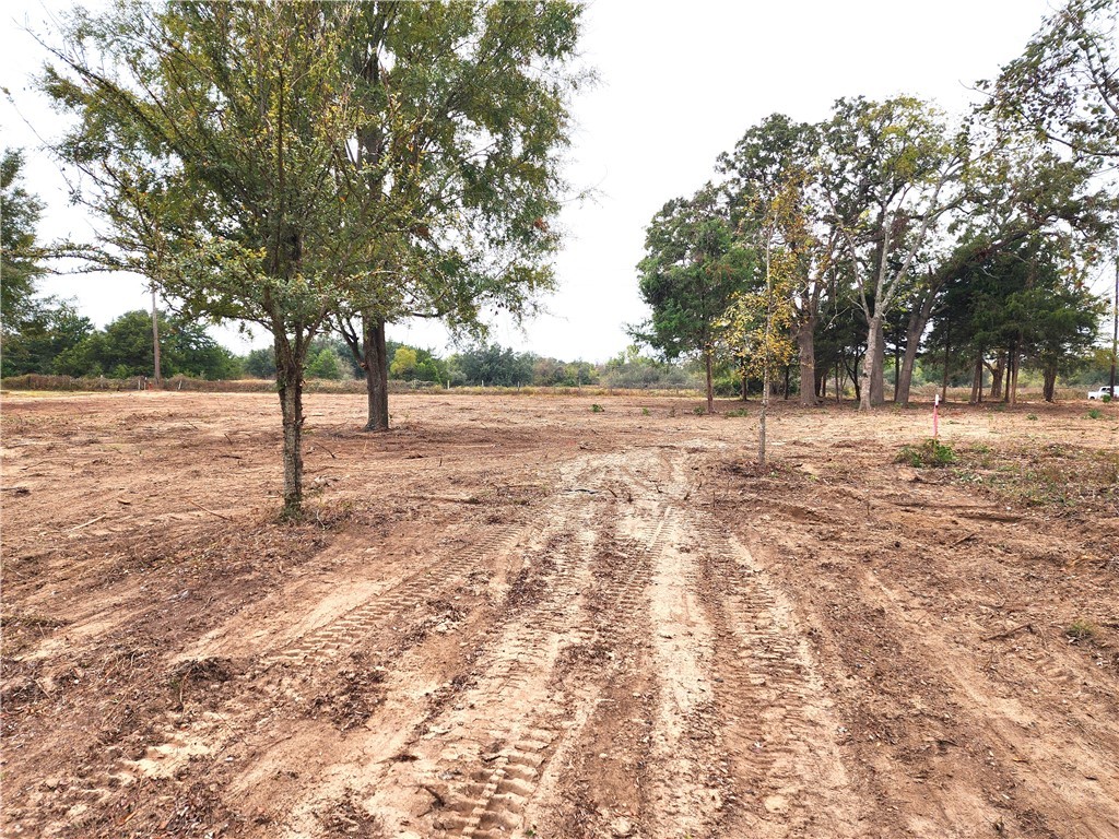 a view of empty yard with trees