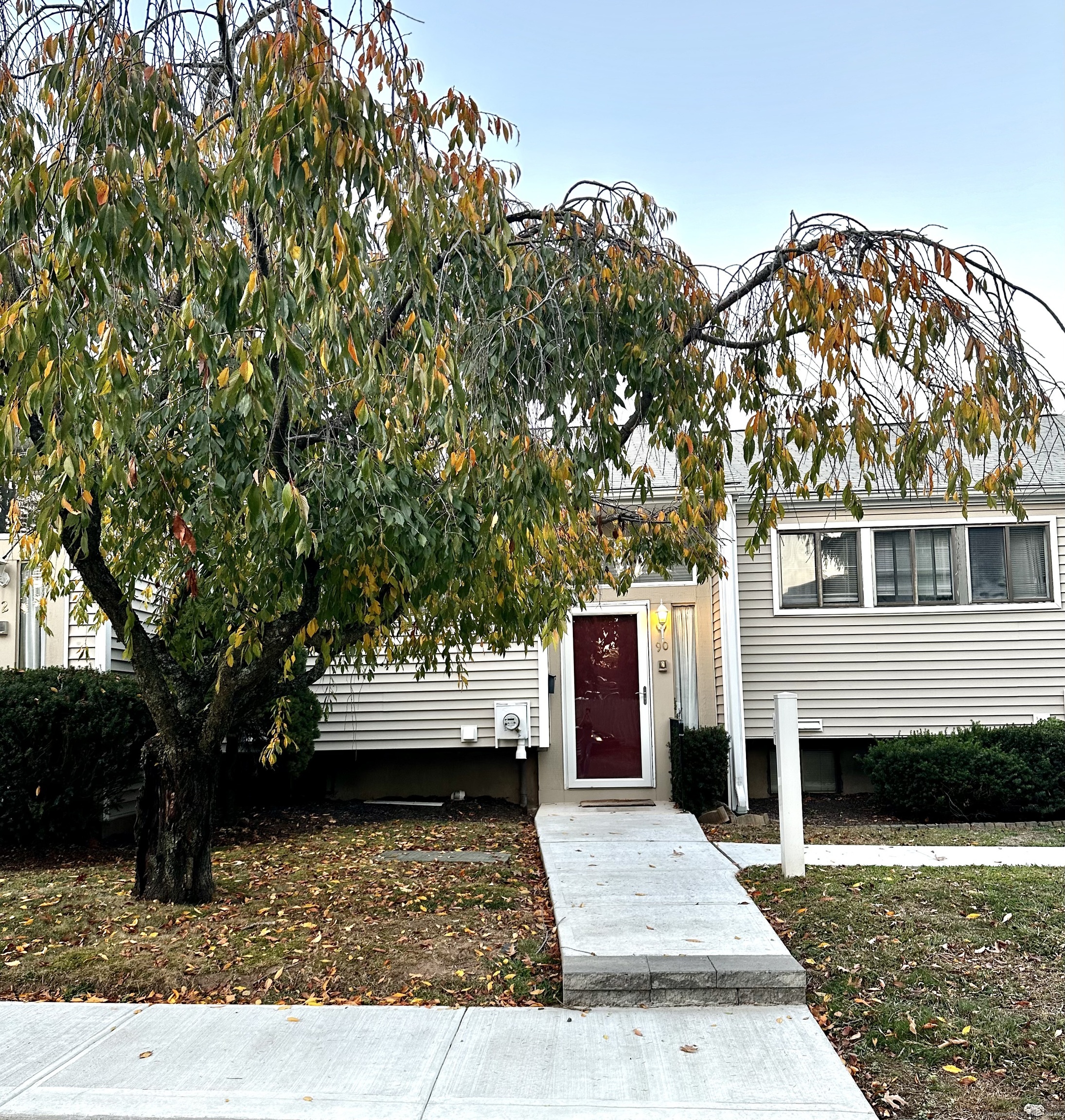 a view of a house with a yard