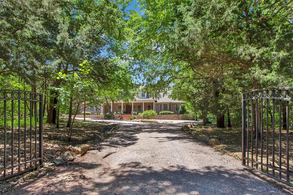 a view of a outdoor space with a tree