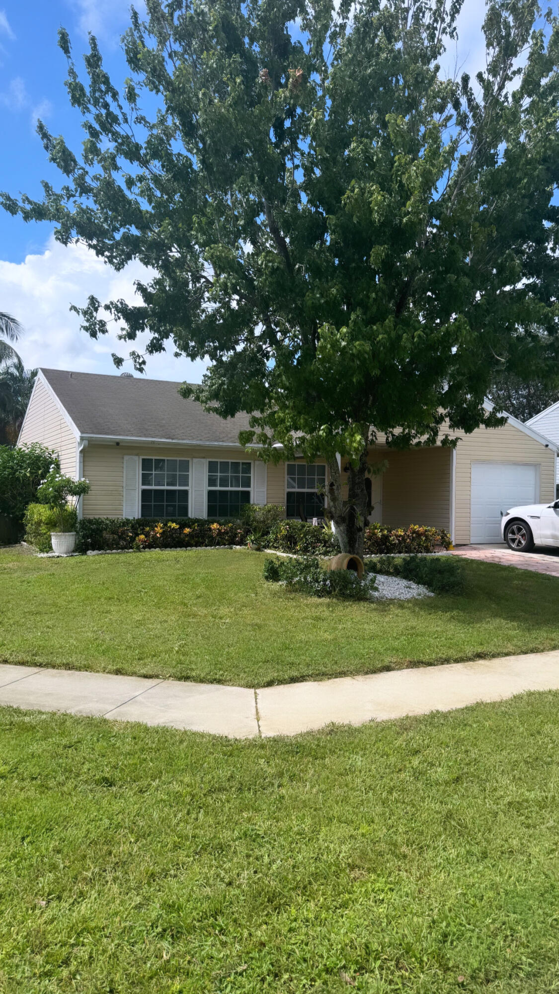 a front view of a house with a yard