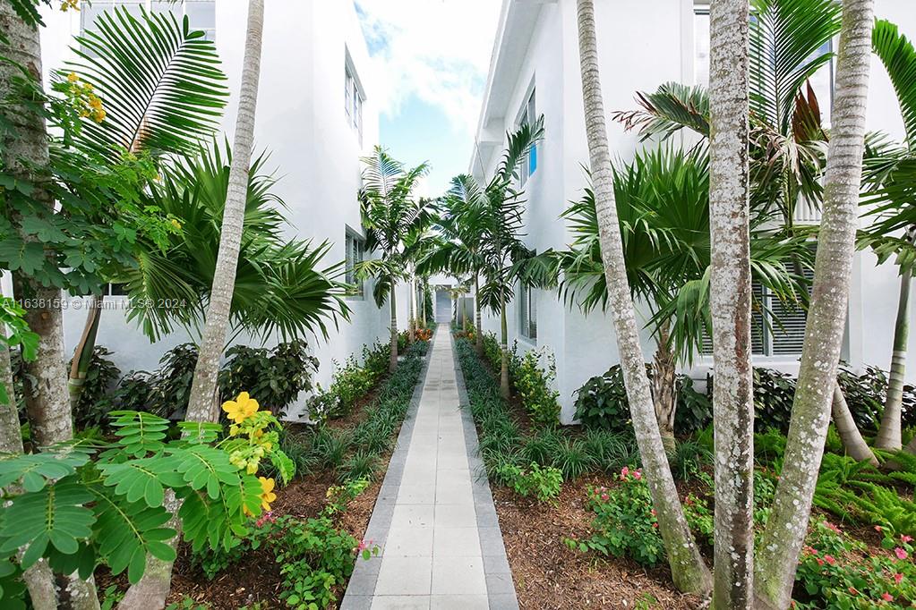 a view of a garden with palm trees