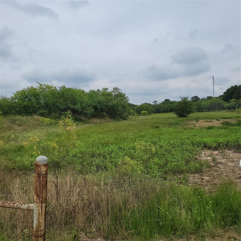 a view of a field of grass and trees