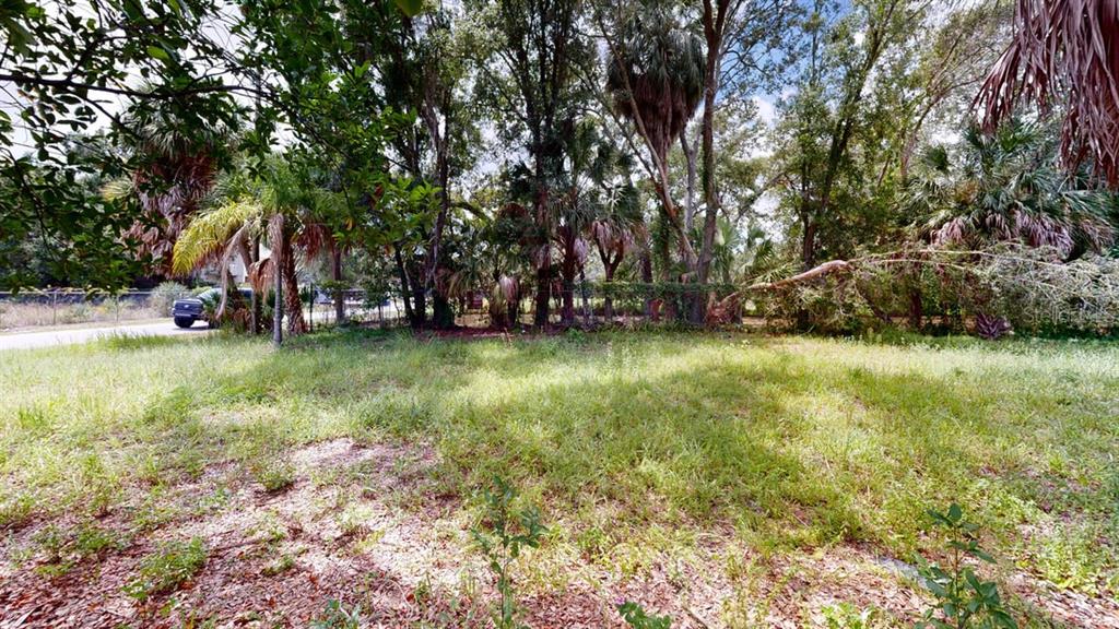 a view of a trees in front of a house