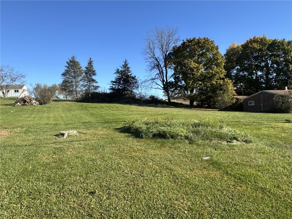 a view of a field with an trees