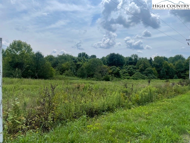 a view of a field of grass and trees