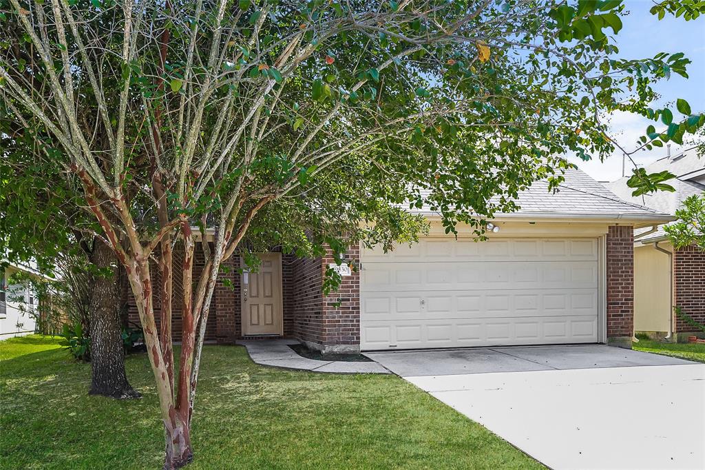 front view of a house with a tree