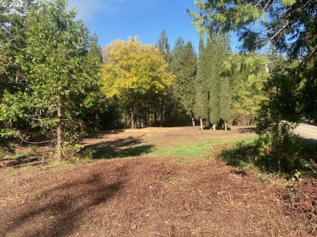 a view of dirt yard with a tree